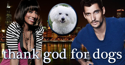 Thank God For Dogs