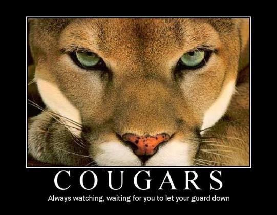 The Cougar